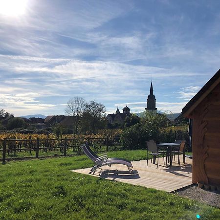 Domaine Rosfelder - Locations De Gite Et Cabane Insolite Gertwiller Dış mekan fotoğraf