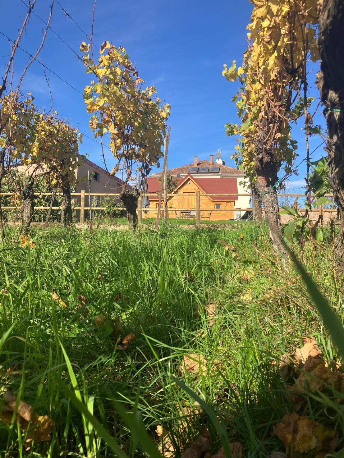 Domaine Rosfelder - Locations De Gite Et Cabane Insolite Gertwiller Dış mekan fotoğraf
